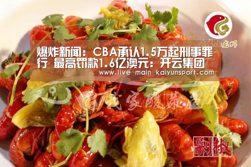 爆炸新闻:CBA承认1.5万起刑事罪行 最高罚款1.6亿澳元:开云集团(图1) 开云集团